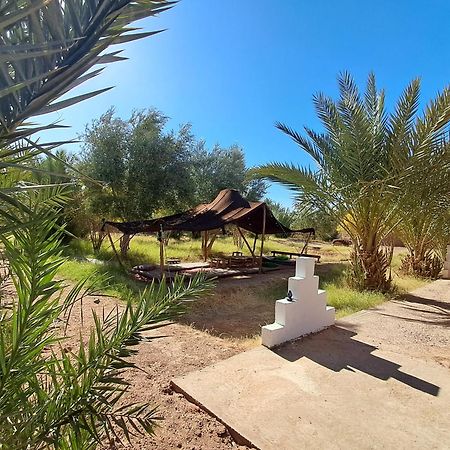 Jardin Du Desert M'Hamid Exterior foto