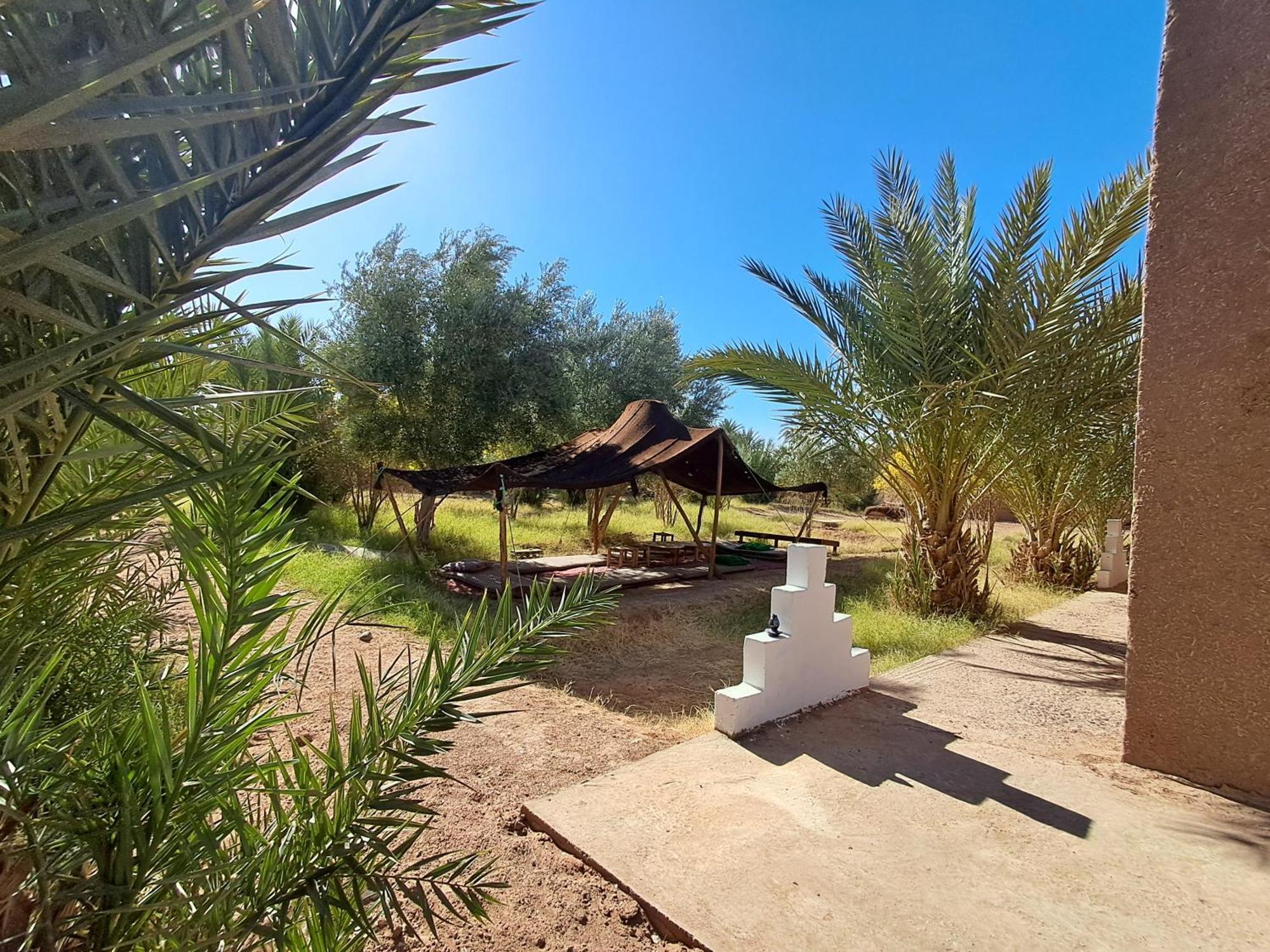 Jardin Du Desert M'Hamid Exterior foto